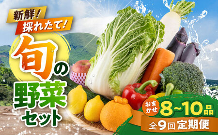 【全9回定期便】旬な野菜おまかせ詰め合わせセット 野菜 [AYCA005]