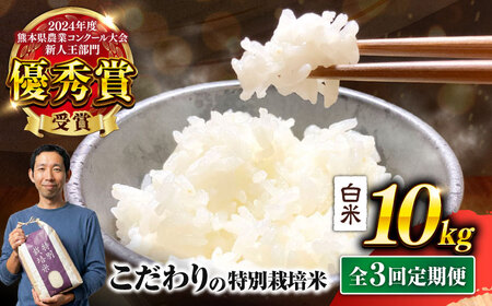 【令和7年度】【全3回定期便】くまさんの輝き 白米 10kg 計30kg 白米 10キロ[AYCC006]