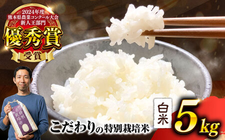 令和7年度 くまさんの輝き 白米 5kg 米 5キロ[AYCC021] 