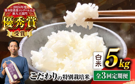 【令和7年度】【全3回定期便】くまさんの輝き 白米 5kg 計15kg 白米 5キロ[AYCC027]