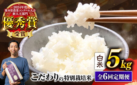 【令和7年度】 【全6回定期便】 くまさんの輝き 白米 5kg 計30kg 白米 5キロ[AYCC029]