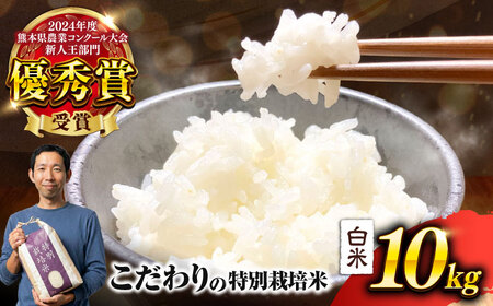 令和7年度 くまさんの輝き 白米 10kg 米 10キロ[AYCC035]