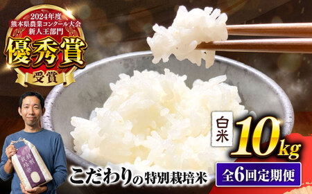 【令和7年度】 【全6回定期便】 くまさんの輝き 白米 10kg 計60kg 白米[AYCC036]