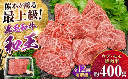 【全12回定期便】熊本県産 A5等級 黒毛和牛 和王 ウデ・モモ 焼肉用 約400g 計約4.8kg 焼肉[AYCH022]