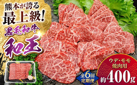 【全6回定期便】熊本県産 A5等級 黒毛和牛 和王 ウデ・モモ 焼肉用 約400g 計約2.4kg 焼肉[AYCH026]