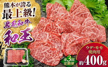 【全3回定期便】熊本県産 A5等級 黒毛和牛 和王 ウデ・モモ 焼肉用 約400g 計約1.2kg 焼肉[AYCH030]