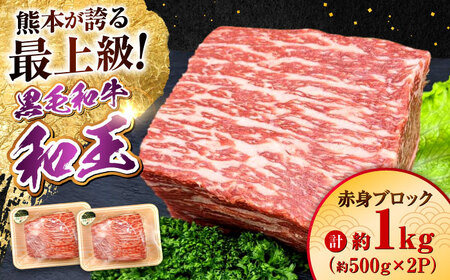 熊本県産 A5等級 黒毛和牛 和王 赤身ブロック 約500g×2P 計約1kg 牛肉ブロック [AYCH060]