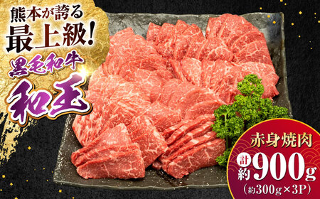 A5等級 黒毛和牛 柔らか赤身焼肉 約300g×3P 計約900g 焼肉 [AYCH094]