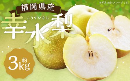 幸水梨 約3kg 5～8玉【2026年7月下旬から8月下旬発送】 ナシ 梨 果物 フルーツ 福岡県産