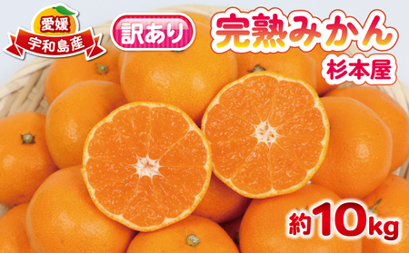 完熟みかん 訳あり 完熟 みかん 早生みかん 10kg 杉本屋 先行予約 完熟 温州みかん みかん ミカン mikan 早生 温州 蜜柑 みかん 果物 くだもの フルーツ 愛媛みかん 愛媛ミカン 愛媛蜜柑 宇和島みかん 訳アリ 柑橘 産地直送 数量限定 国産 愛媛 宇和島 B018-143019