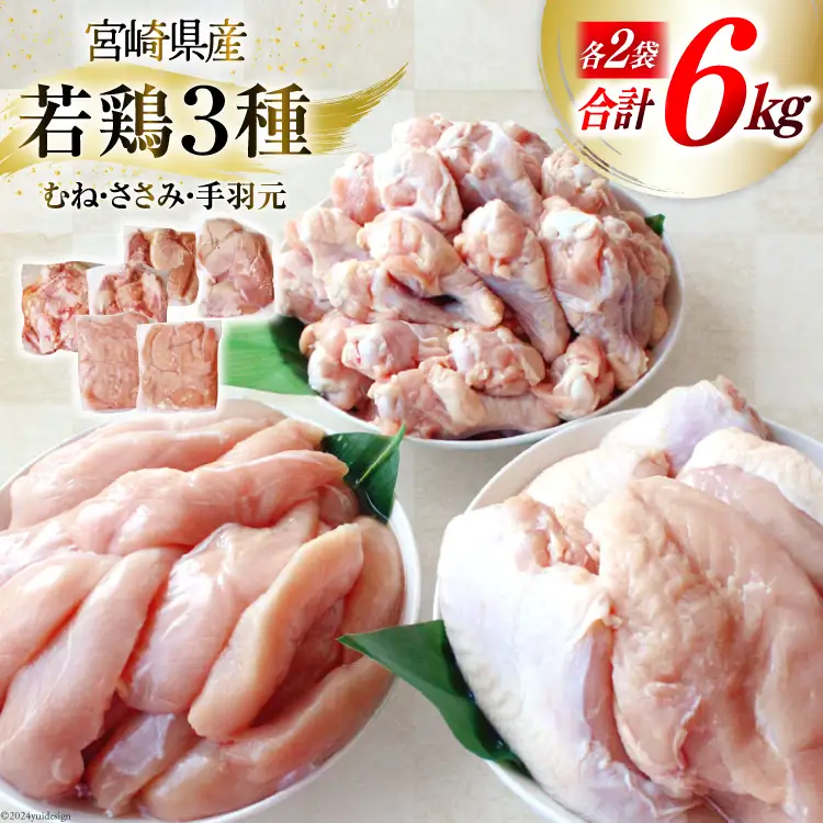 鶏肉 詰め合わせ 宮崎県産 若鶏 むね肉 ささみ 手羽元 セット 各1kg 2p 計6kg [九州児湯フーズ 宮崎県 美郷町 31ai0022]