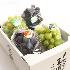 2026年 くぼ農園 ぶどう セレクション 4房（合計約2.0kg）｜ ぶどう