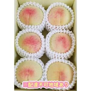 くぼ農園 白桃 セレクション 約1.5kg｜フルーツ 果物 くだもの もも モモ 桃 白桃 食品 人気 おすすめ 送料無料 ギフト 贈り物 贈答品 プレゼント 果物 もも モモ 桃 国産 岡山県産 岡山 もも モモ 桃 白桃
