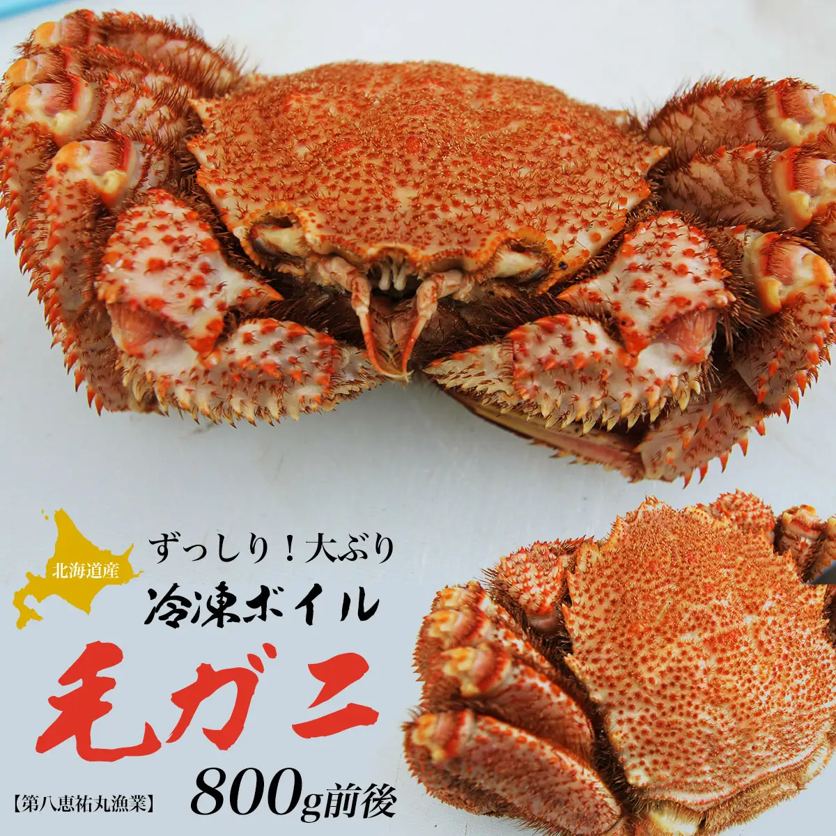 北海道産 ずっしり！大ぶり 冷凍ボイル毛ガニ 800g前後 SRMN024