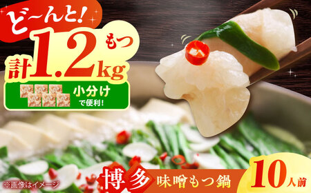 博多 味噌もつ鍋 10人前 [BGAB005] もつ鍋 大容量