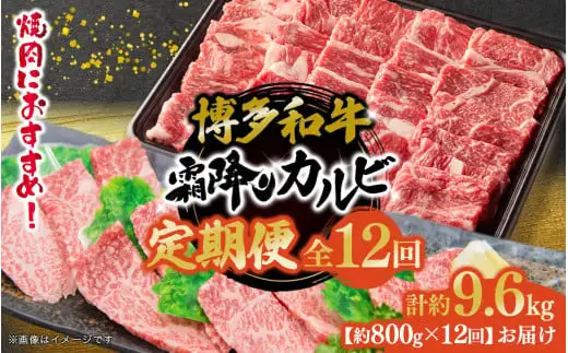 博多和牛 霜降りカルビ 全12回定期便 約800g×12回 072-T095