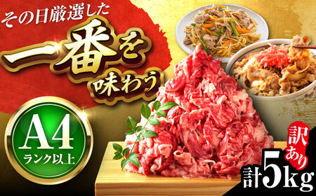 【訳あり】博多和牛切り落とし 5kg[BGAB040]大容量 国産 牛肉 訳アリ