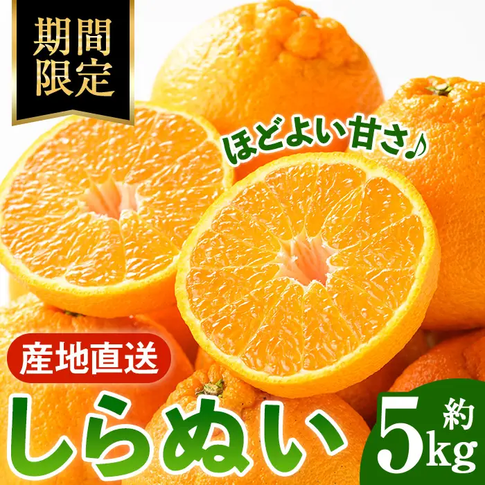 i989 ＜訳あり＞しらぬい(5kg) 数量限定 柑橘 デコポン でこぽん 不知火 しらぬい シラヌヒ 果物 くだもの フルーツ 旬 訳あり 【アーステクノ】