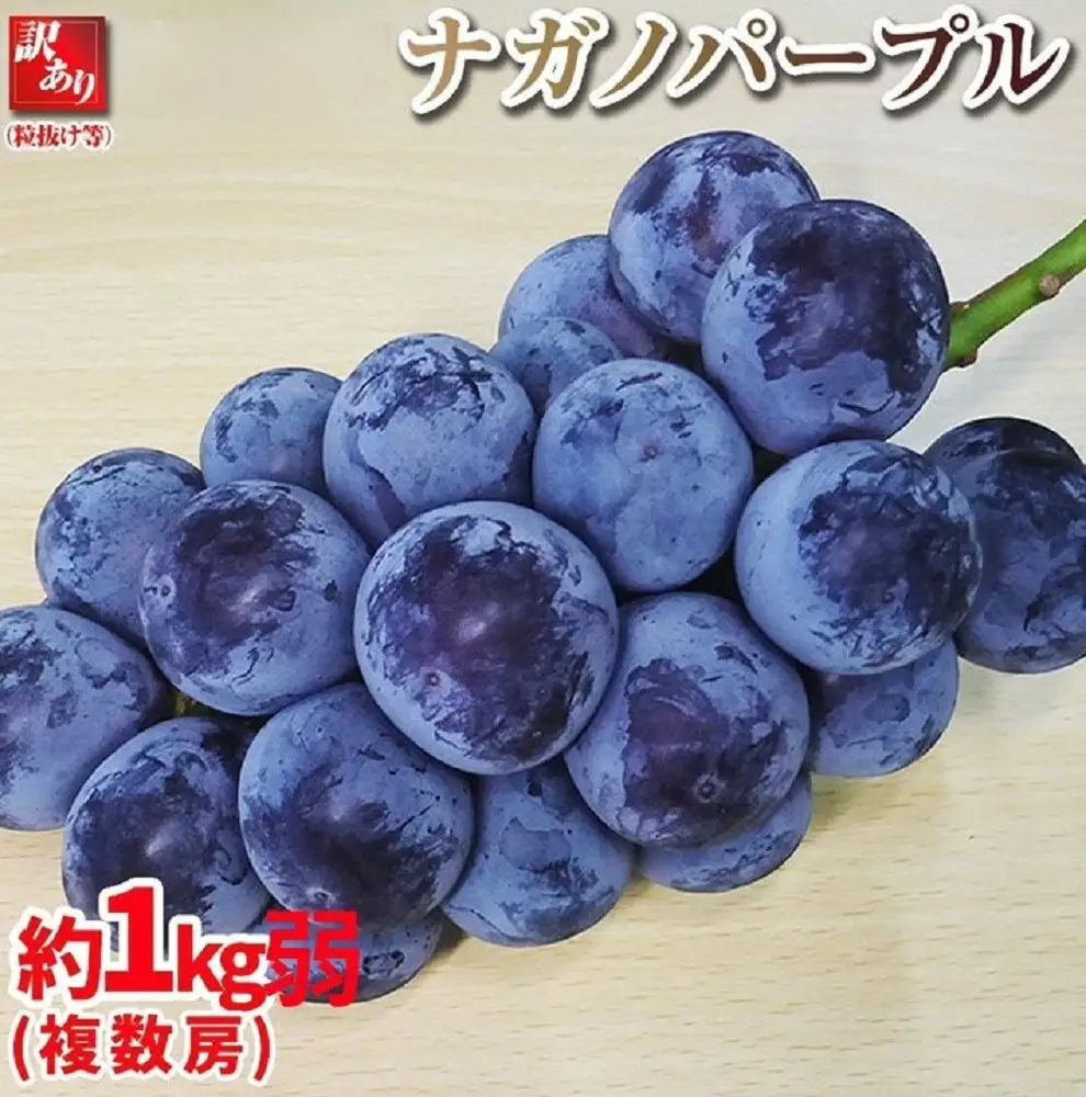 【先行予約】2026　ナガノパープル　【訳あり粒抜け等】　房複数　約1kg弱　長野県産  【10月初旬頃～順次発送予定】国際特許有機肥料栽培