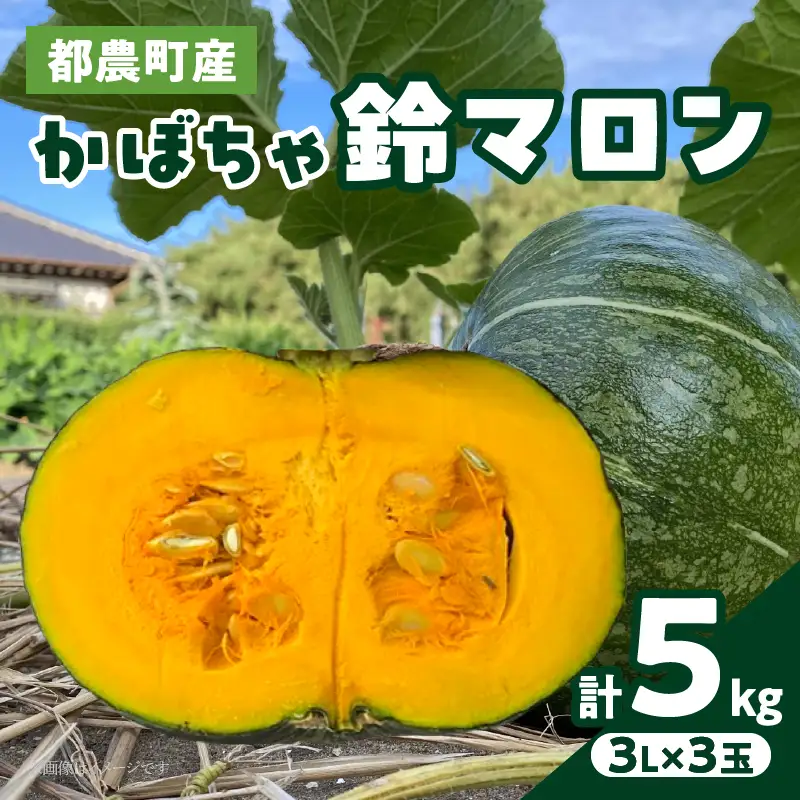 先行予約≪期間限定≫都農町産かぼちゃ 「鈴マロン」計5kg カボチャ 野菜 旬 サラダ 国産_T015-0075
