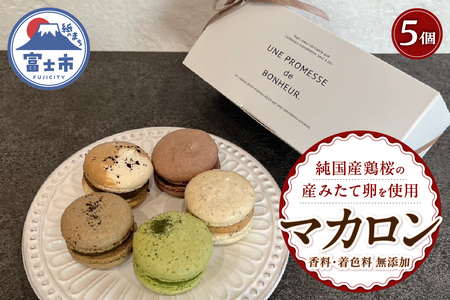 マカロン 5個入 抹茶 アールグレイ コーヒー ほうじ茶 ショコラ 香料着色料無添加 自然派 お菓子 洋菓子 スイーツ デザート おやつ 冷凍 富士市 [sf001-218]