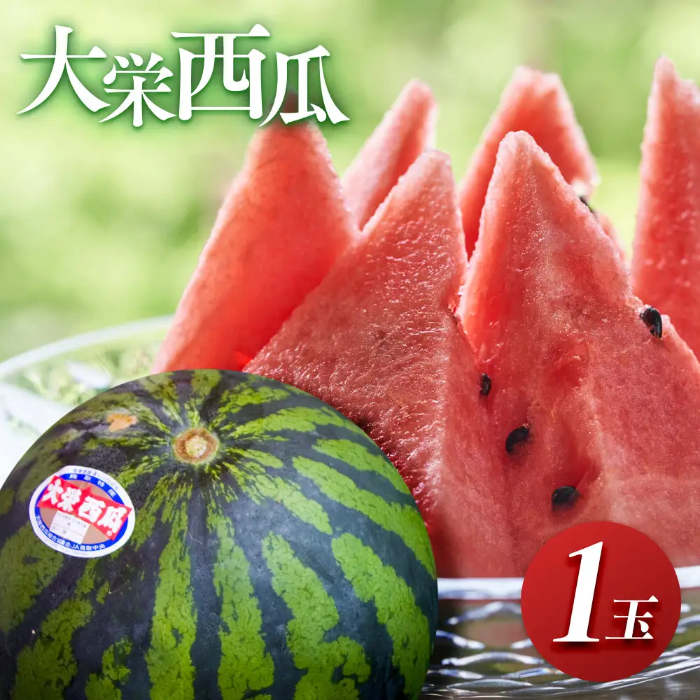 998.【先行予約】【ふるさと納税】大栄西瓜　1玉（高間商店）※6月中旬～7月中旬頃に順次発送予定