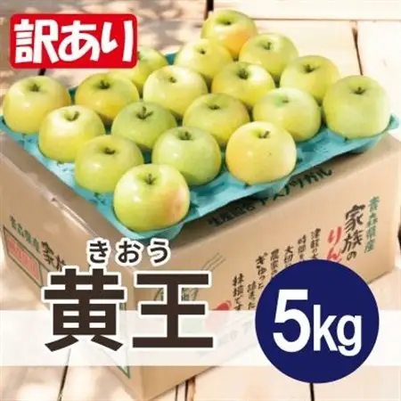 先行受付 青森 りんご 8～9月発送 黄王 約5kg 訳あり 平均糖度12度以上! クール便_果物・フルーツ りんご  リンゴ 林檎_【配送不可地域：離島・沖縄県】【1606636】