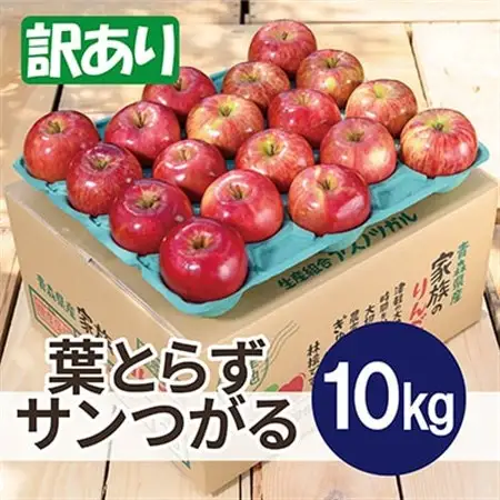 【2026年9月発送予定】平均糖度12度以上! 葉とらずサンつがる 約10kg 訳あり クール便_果物・フルーツ りんご  リンゴ 林檎_【配送不可地域：離島・沖縄県】【1607032】