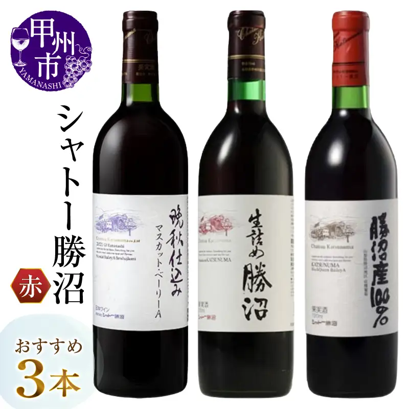 シャトー勝沼おすすめ赤ワイン3本セット（MG）C1-483 【ワイン 赤ワイン シャトー勝沼 甲州市 山梨県】