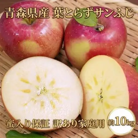 【26年11月～12月発送予定】平均糖度13度以上! 葉とらずサンふじ 約10kg 訳あり 蜜保証_果物・フルーツ りんご  リンゴ 林檎_【配送不可地域：離島・沖縄県】【1607470】