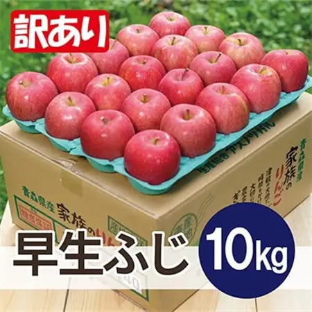 【2026年11月発送予定】平均糖度13度以上! 早生ふじ 約10kg 訳あり_果物・フルーツ りんご  リンゴ 林檎_【配送不可地域：離島・沖縄県】【1607523】