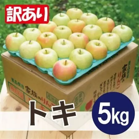 【2026年11月より順次発送】平均糖度13度以上! トキ 約5kg 訳あり_果物・フルーツ りんご  リンゴ 林檎_【配送不可地域：沖縄県】【1608000】