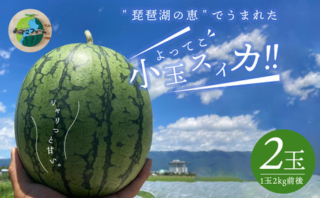 よってこ小玉すいか2玉 　先行予約 ピノガール よってこファーム フルーツ デザート 果物  DG-0004