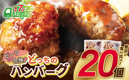 Y61-31R09 【7営業日以内発送】どっちのハンバーグ!?デミグラスソース20個セット（ビーフ・合挽 各10個） ハンバーグ