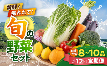 【全12回定期便】旬な野菜おまかせ詰め合わせセット 野菜 [AYCA002]