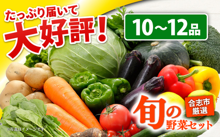 旬のお野菜10~12品 野菜[AYAB008]