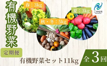 定期便 全3回 季節の有機野菜セット【一般社団法人二本松有機農業研究会】
