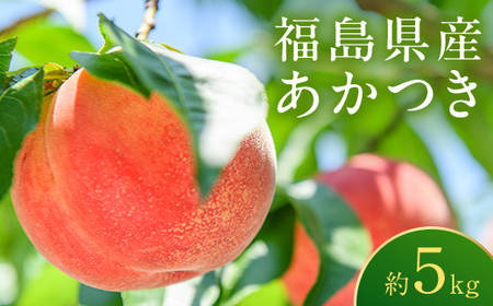 ＜先行予約＞福島県産 甘くてジューシー 桃 あかつき 5kg （18玉～25玉） もも フルーツ 果物 F6Q-354