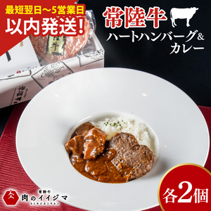 常陸牛ハートハンバーグ100g×2個 常陸牛カレー2個 詰め合わせセット 肉のイイジマ（DU-130）