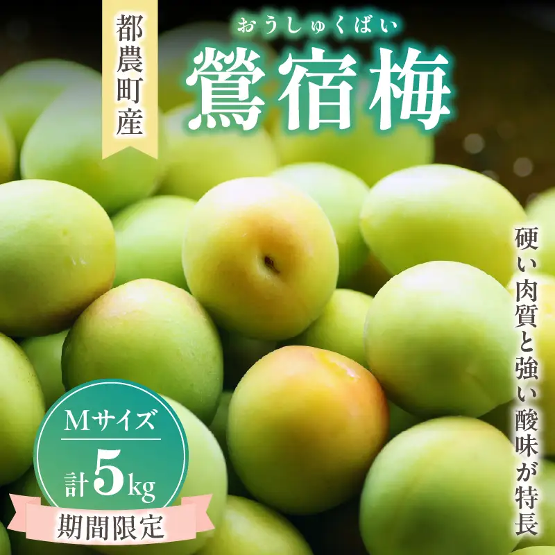 先行予約≪期間限定≫都農町産「鶯宿梅(Mサイズ)」計5kg 梅 梅干し 果物 国産_T008-013