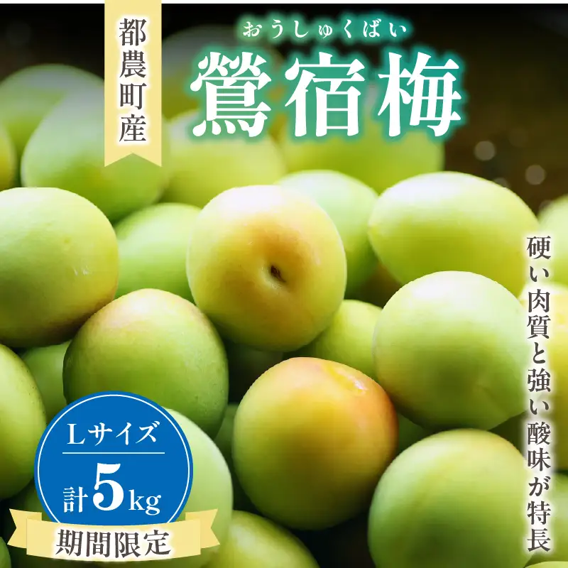 先行予約≪期間限定≫都農町産「鶯宿梅(Lサイズ)」計5kg 梅 梅干し 果物 国産_T008-014