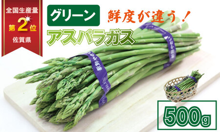 採れたて新鮮！アスパラガス（500g）百島農園 生産者直送 野菜 A060-005