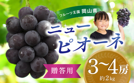 【2026年先行予約】ぶどう 岡山 花笑み農園『ニューピオーネ』約2kg（3～4房） 2026年9月上旬～ 受付順に発送予定 【hana006-03】