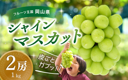 シャインマスカット 1kg以上 減農薬 岡山 【hana015-03】
