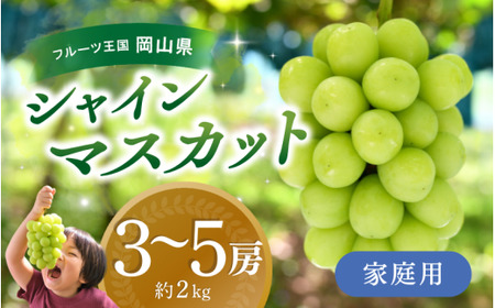 シャインマスカット 家庭用 約2kg 除草剤不使用 【hana061-02】