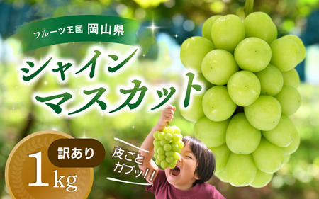 【2026年先行予約】訳あり シャインマスカット 1kg 花笑み農園 ぶどう 岡山 真庭市 【hana035-02】