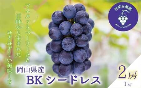 【2026年先行予約】ぶどう 岡山 花笑み農園の『BKシードレス』1kg（2～3房） 【hana027-03】
