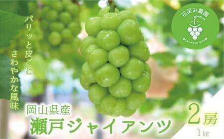【2026年先行予約】岡山　花笑み農園の『瀬戸ジャイアンツ』１ｋg（２房） 【hana040-02】