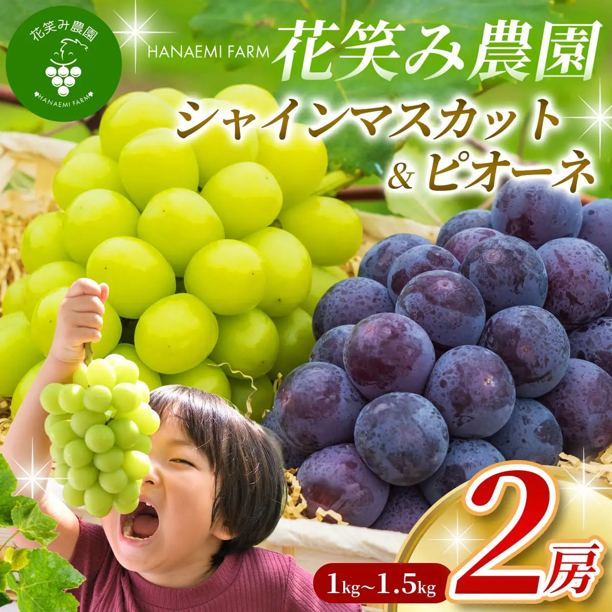 シャインマスカット ニューピオーネ 食べ比べ 1kg～1.5kg 花笑み農園 ピオーネ 【hana007-03】