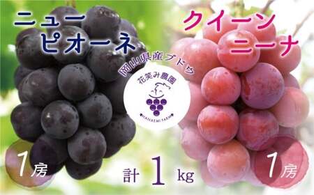 【2026年先行予約】岡山　花笑み農園『ニューピオーネ&クイーンニーナ』1kg(2房) / ぶどう 詰め合わせ 食べ比べ 真庭市【hana031-02】